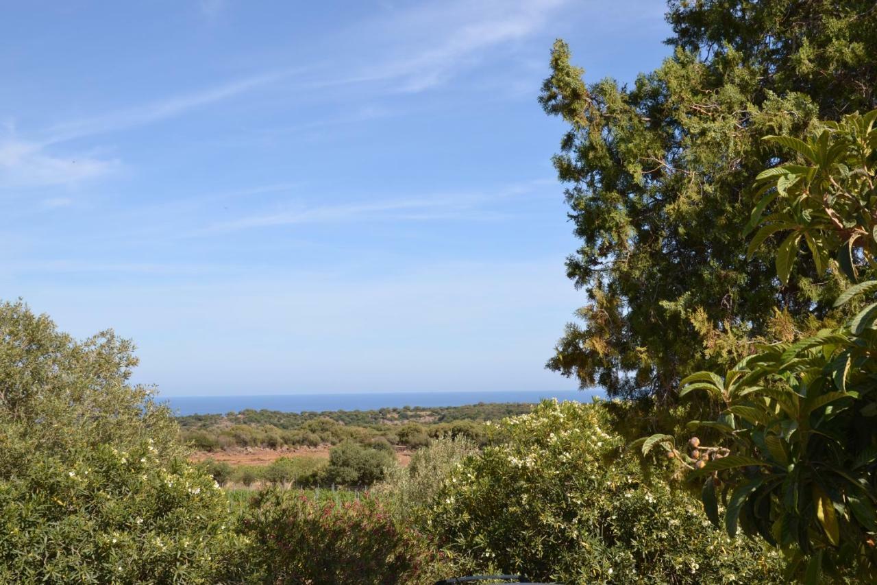 Casa Indipendente Immersa Nel Verde Con Vista Mare ดอร์กาลี ภายนอก รูปภาพ