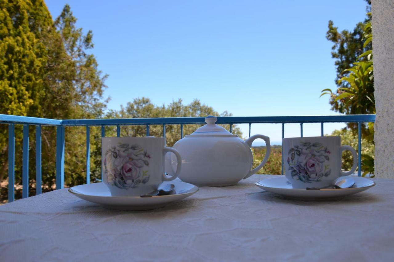Casa Indipendente Immersa Nel Verde Con Vista Mare ดอร์กาลี ภายนอก รูปภาพ